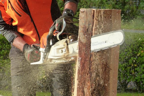 Tips for Successful Tree Removal