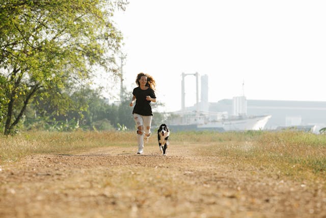 Unleashing the Potential of Dog Training